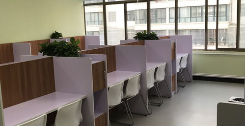 环县博洋教育咨询有限责任公司招聘信息 陇上人才网