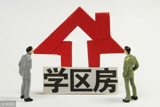 最新泰安市小区学区划分明细表 速来转发收藏