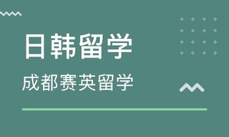 成都赛英教育咨询